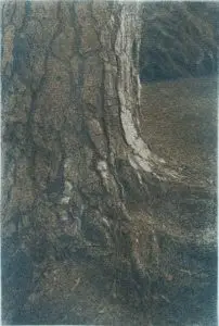 Monotone gum over cyanotype. ### Winsor & Newton Cotman Ivory black mixed burnt sienna 2 coats ### Winsor & Newton Cotman lamp black mixed burnt umber 1 coat ## base is cyanotype. Arches Aquarelle Rough texture